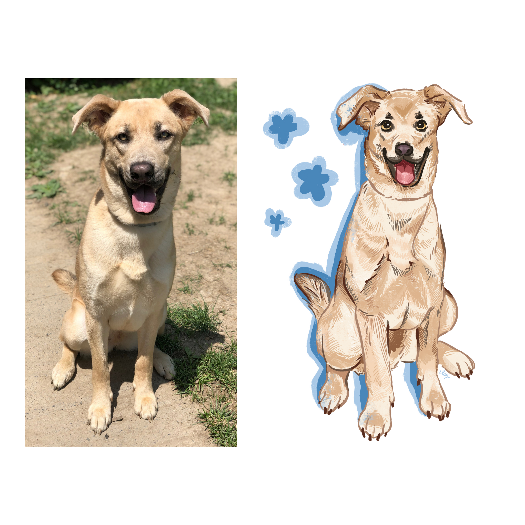 Custom Pet Portrait (Digital File)